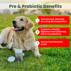 PawMedica prébiotiques et probiotiques pour chien, équilibre intestinal.