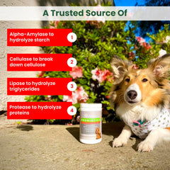 PawMedica soutien digestion chien, bouchées faciles à donner.