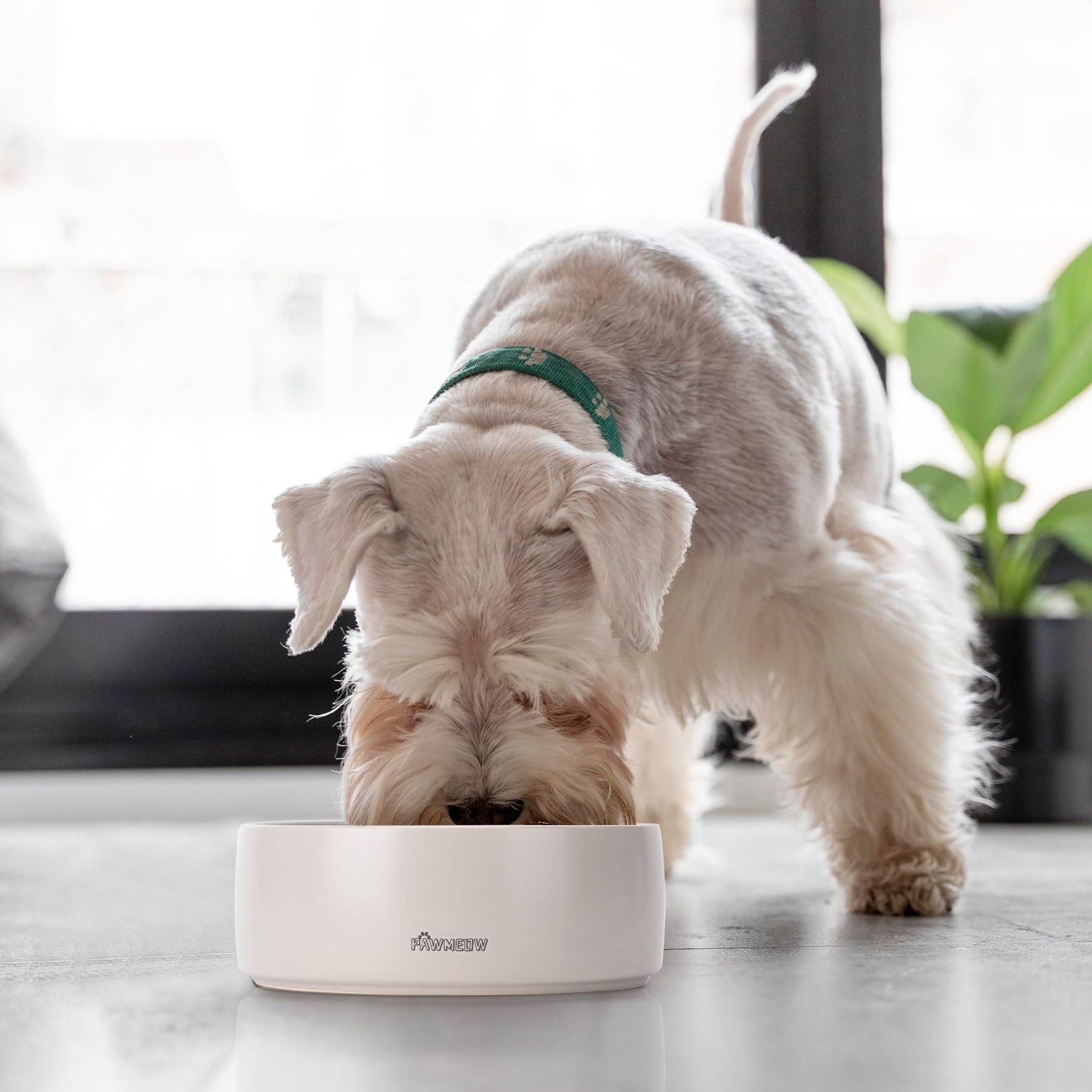 PawMeow bol ceramique sans produits nocifs, hygiène sûre des repas