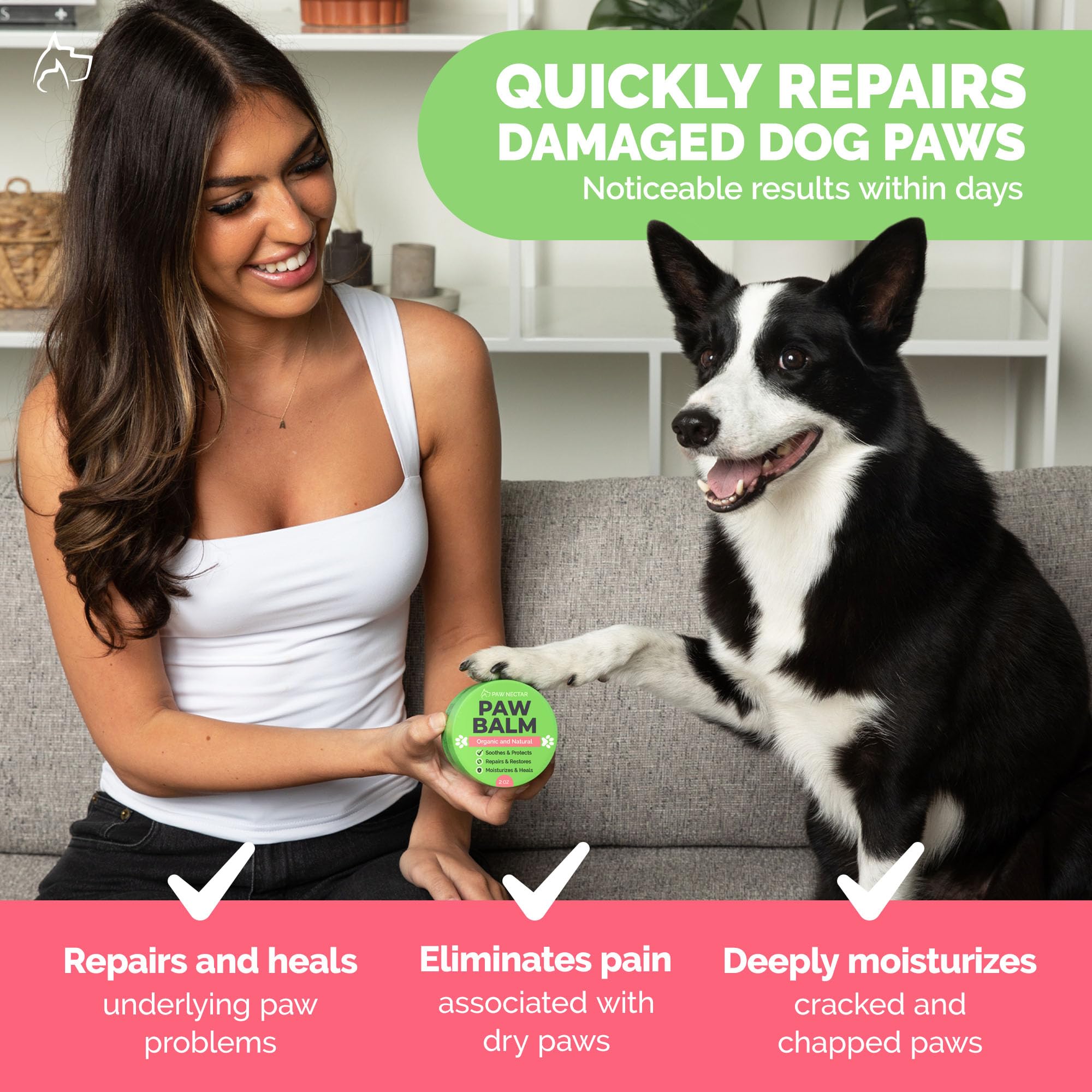 Paw Nectar conseils d'utilisation régulière pour pattes saines.
