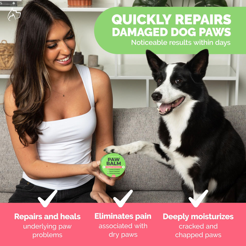 Paw Nectar conseils d'utilisation régulière pour pattes saines.