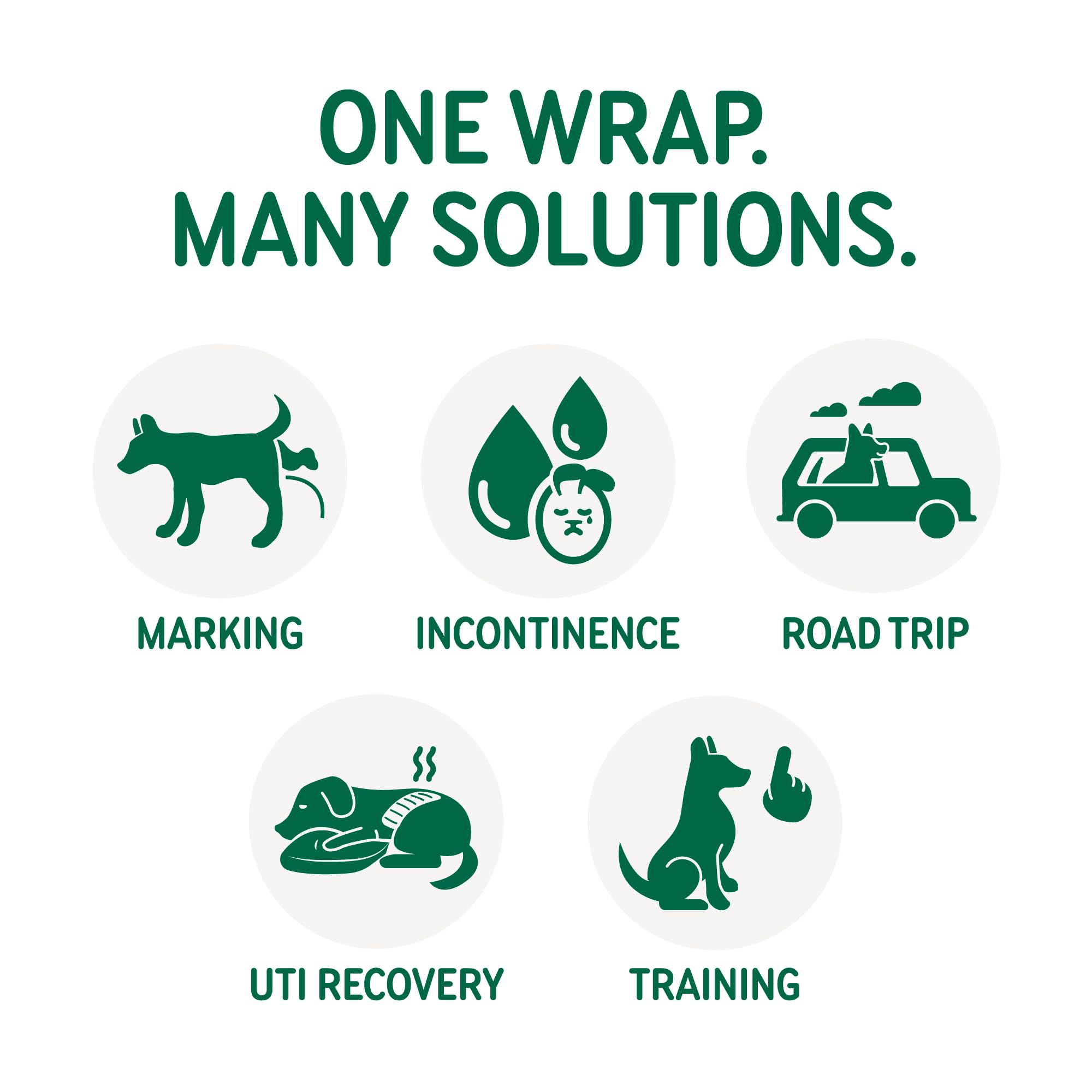 PAWPANG Copper Fit Mate usage quotidien pratique pour les chiens.