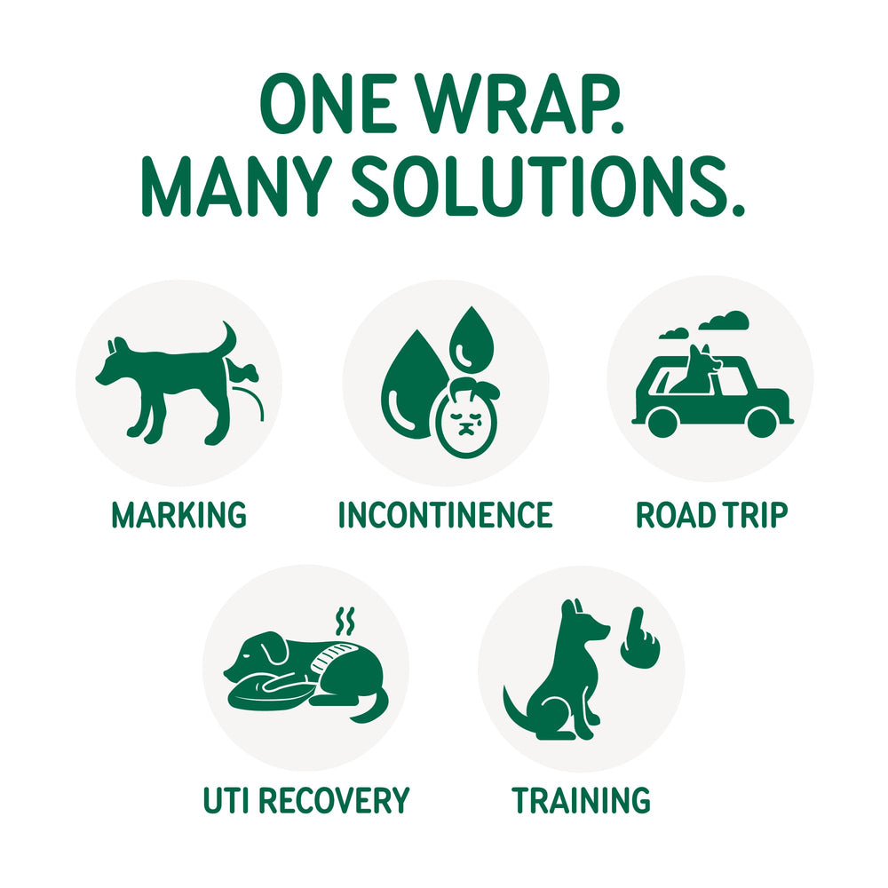 PAWPANG Copper Fit Mate usage quotidien pratique pour les chiens.