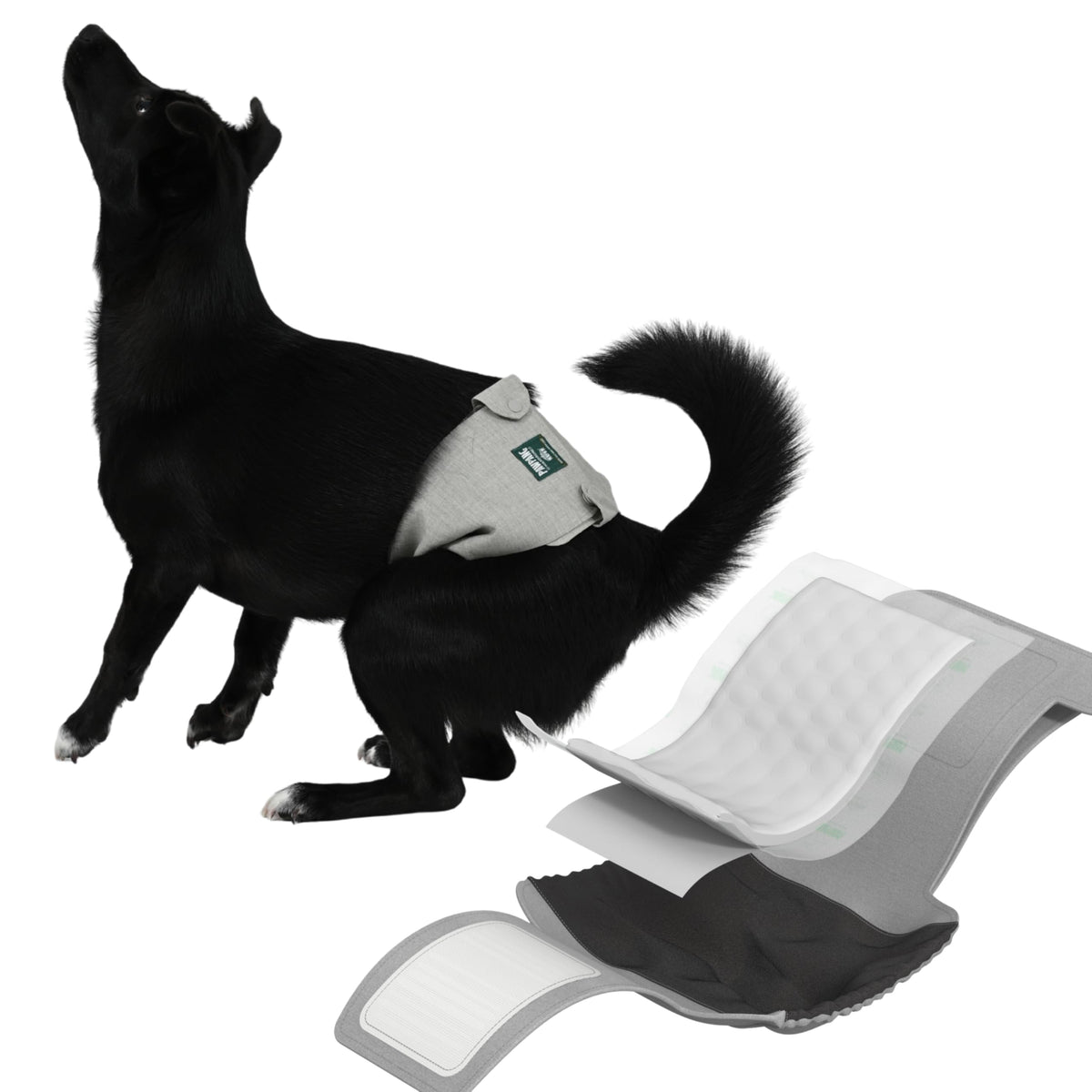 PAWPANG Copper Fit Mate wrap sans-glissement assure un maintien fiable.