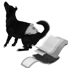 PAWPANG Copper Fit Mate wrap sans-glissement assure un maintien fiable.