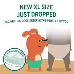 PAWPANG liner doux pour peau sensible, idéal pour chiens en convalescence.