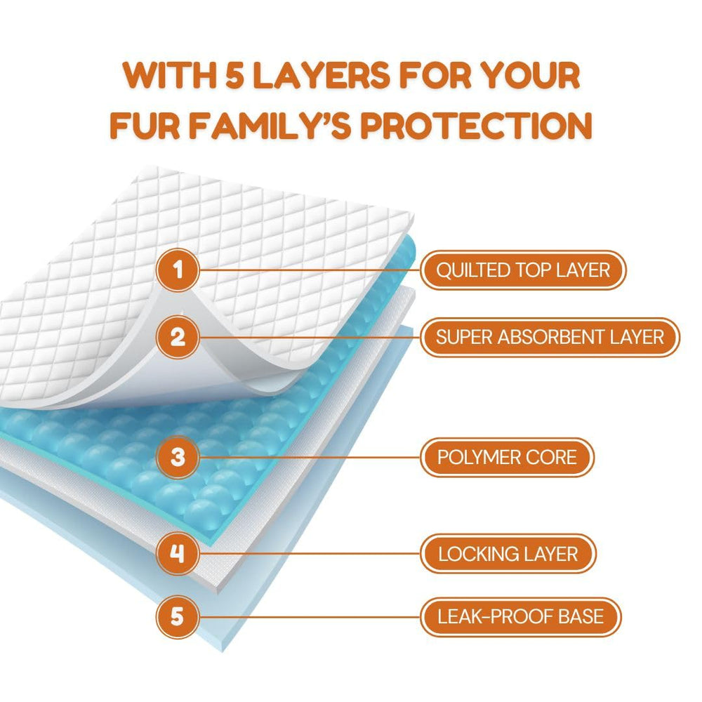 Pawpha UltraCare: protection anti-fuites renforcée pour vos sols.