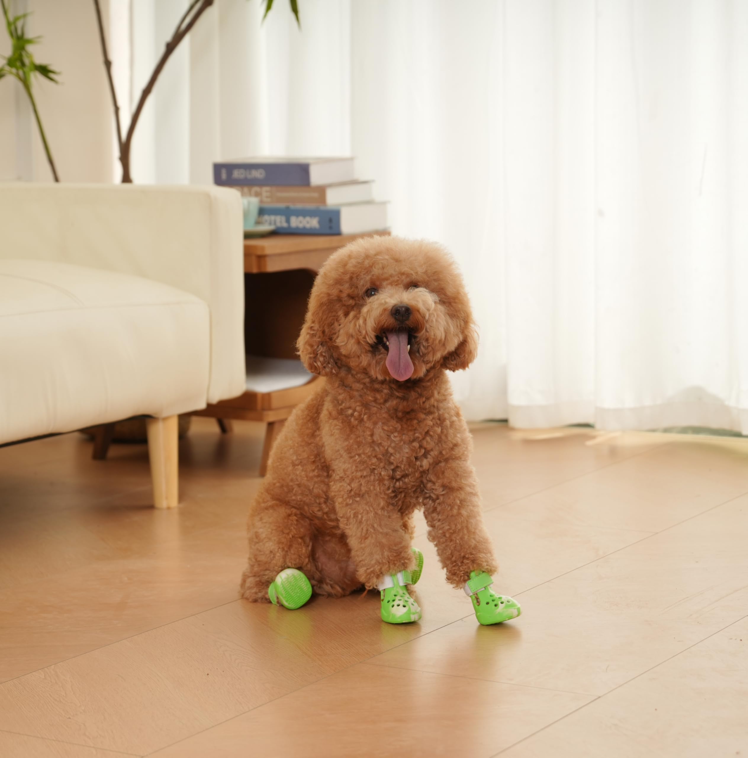 PawPosh taille 7, option adaptée pour petits à moyens chiens et stabilité.