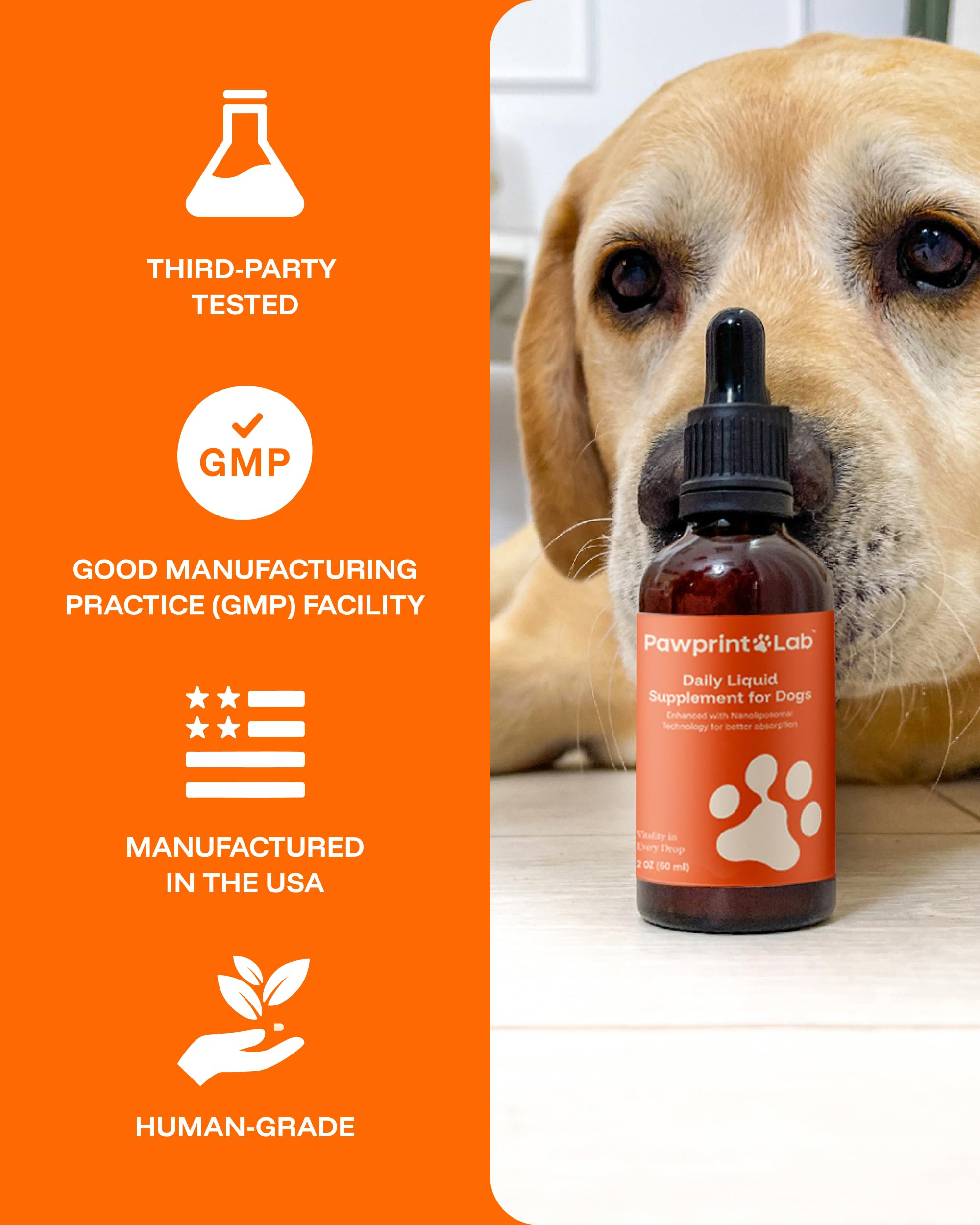PAWPRINT LAB usage quotidien facile pour chiens de toutes tailles.