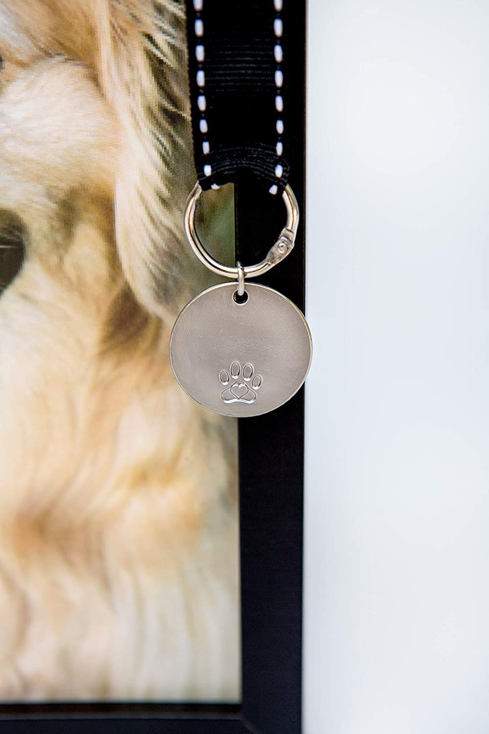 Sympathie durable Pawprints pour perte d'animal