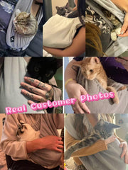 PAWPUBBY chat-dans-sling: expérience de câlin rassurante à domicile.