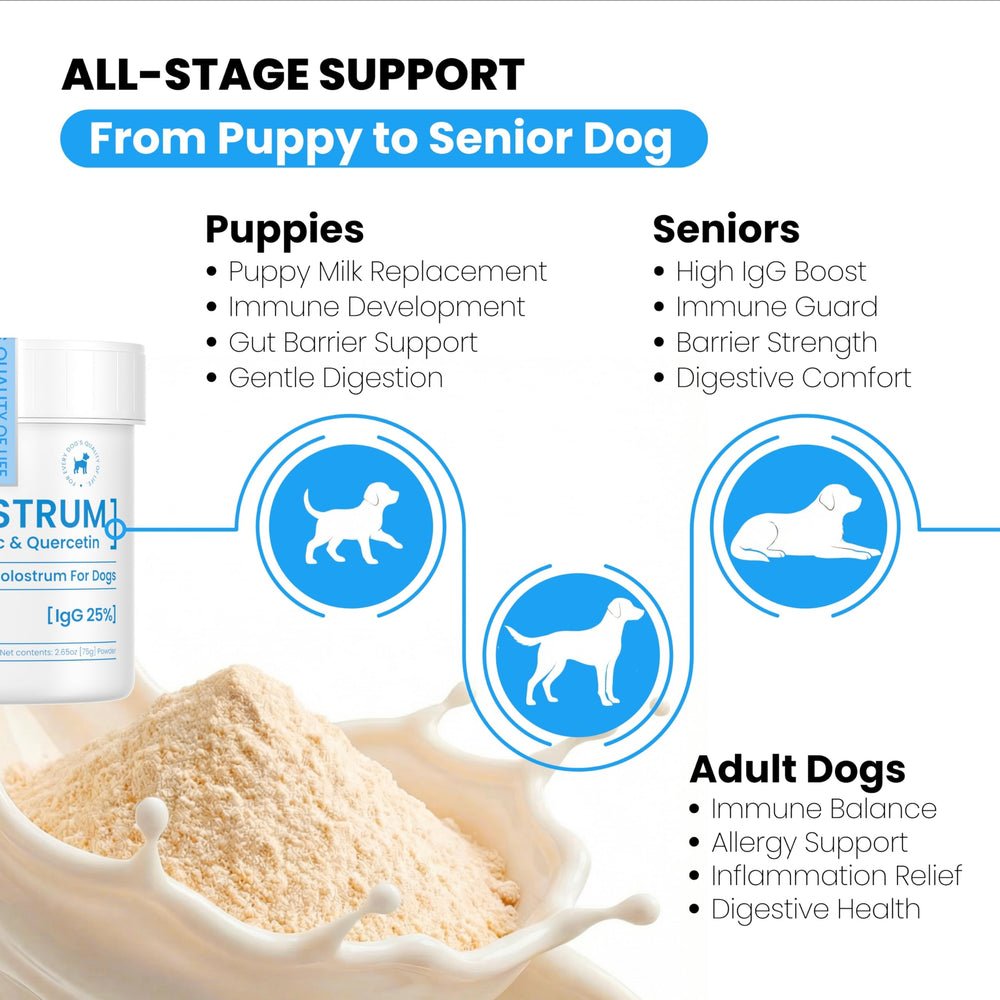 PAWPULSE FORMULA-allergies-saison-chien: peut aider face aux déclencheurs saisonniers.
