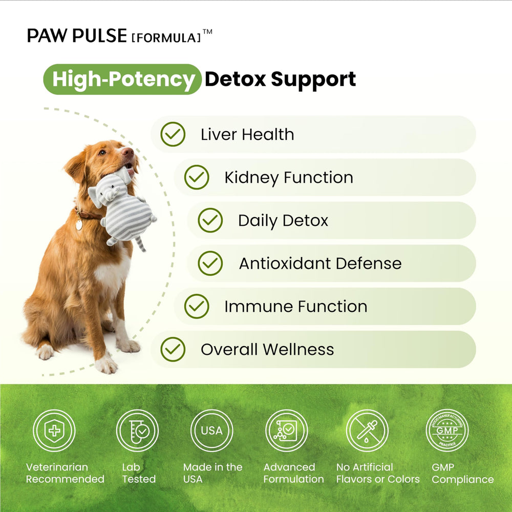 PAWPULSE FORMULA – bouteille d'emballage, pratique pour les repas quotidiens des chiens