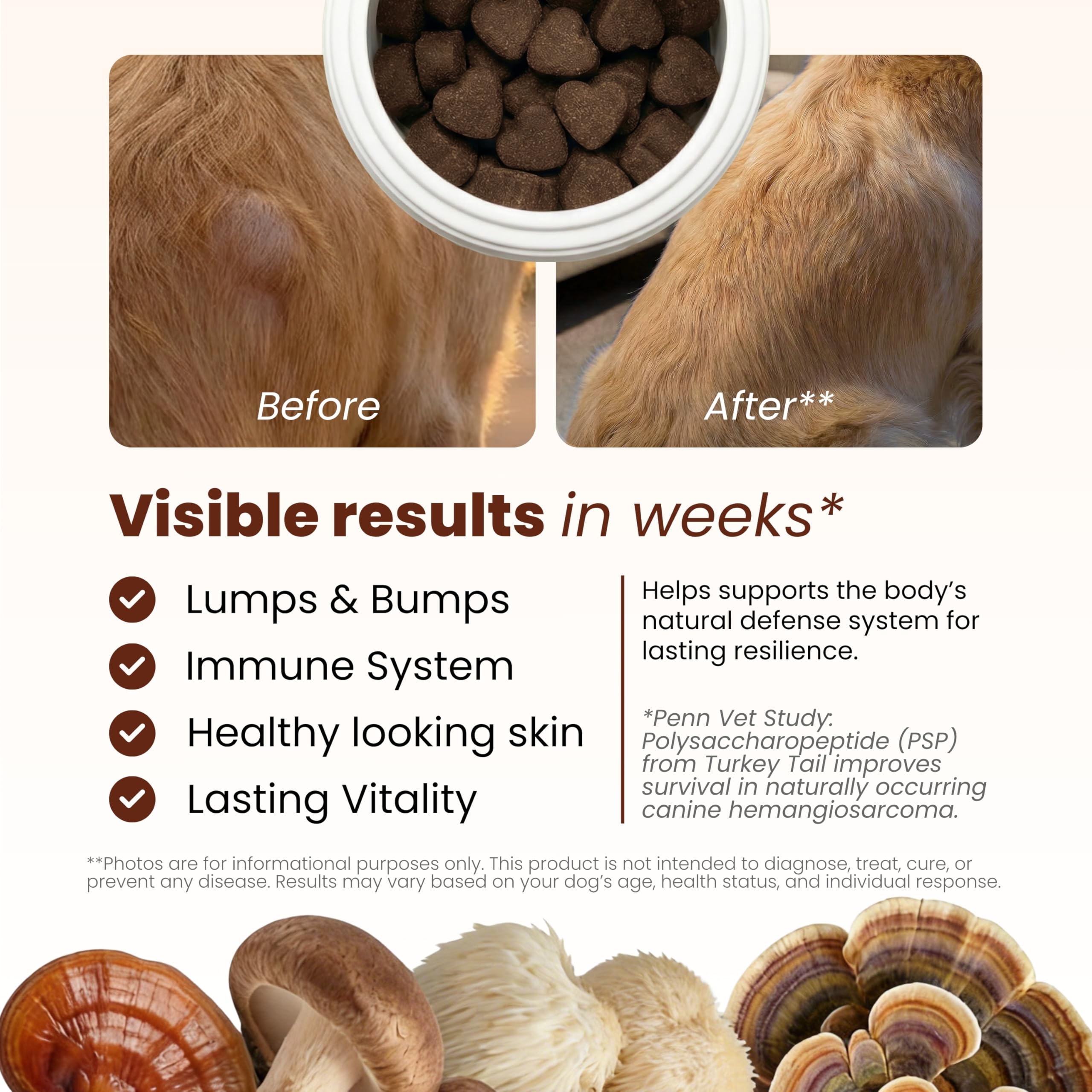 PAWPULSE FORMULA champignons fonctionnels pour chien, mélange naturel et vitalité