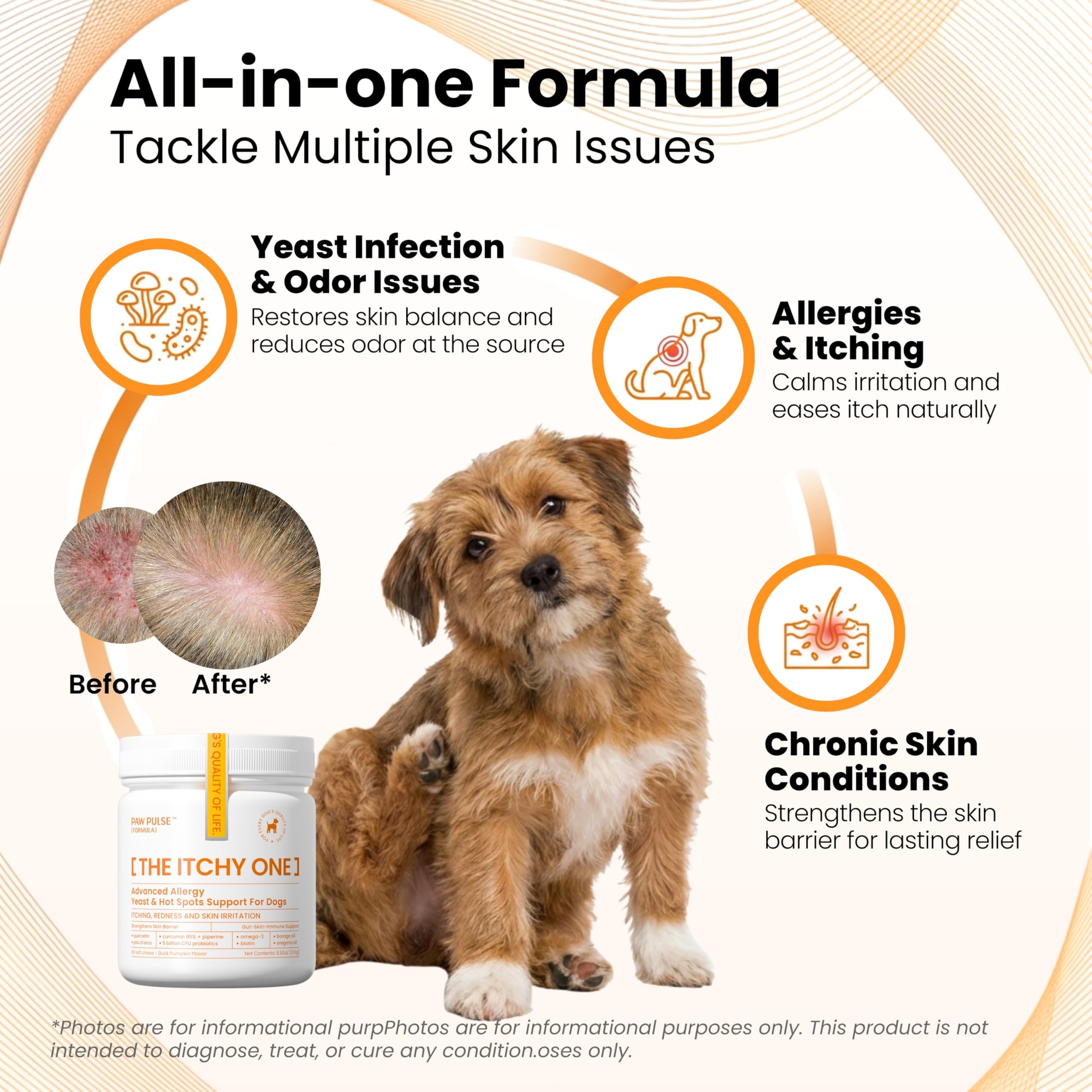 PAWPULSE FORMULA probiotiques 5 milliards CFU et prébiotiques pour l axe intestin-peau