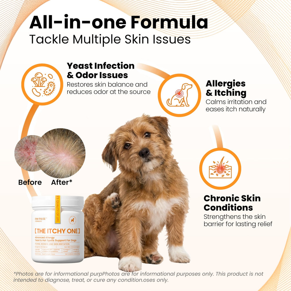 PAWPULSE FORMULA probiotiques 5 milliards CFU et prébiotiques pour l axe intestin-peau
