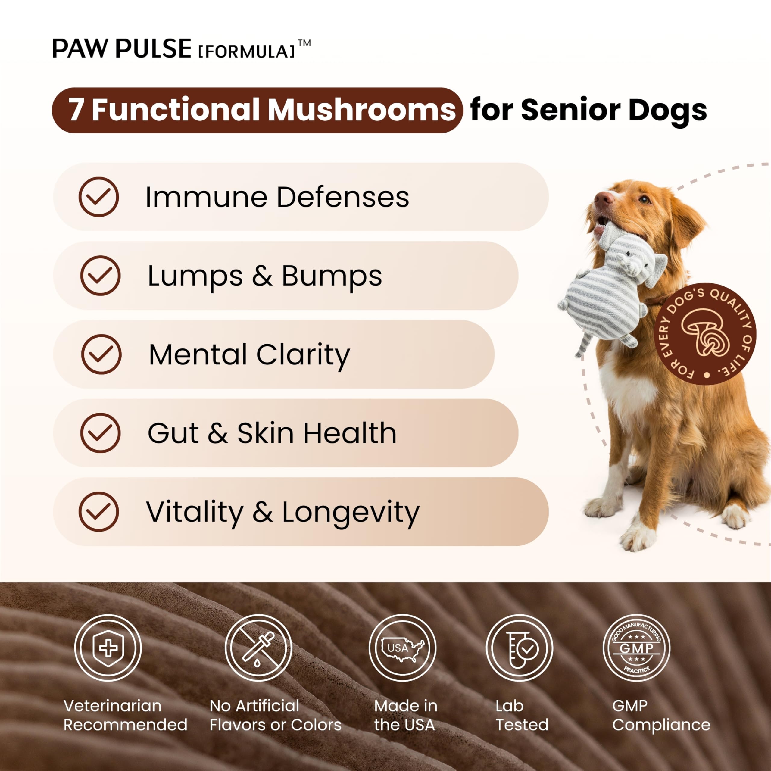 PAWPULSE FORMULA criniere-de-lion pour chien, clarté mentale et énergie