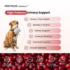 PAWPULSE FORMULA: emballage et étiquette cranberry, présentation pratique pour le quotidien.