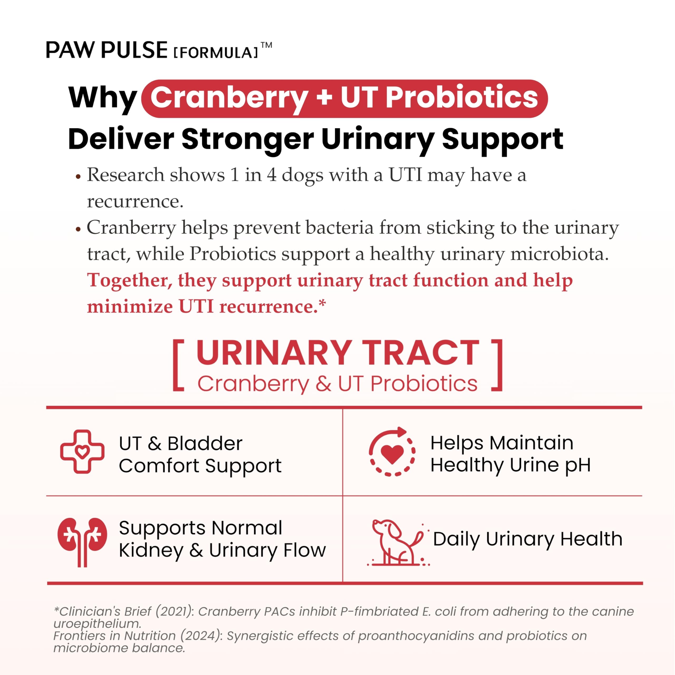 PAWPULSE FORMULA: ingrédients cranberry et D-Mannose, soutien combiné pour la traque urinaire.