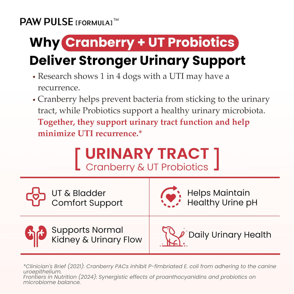 PAWPULSE FORMULA: ingrédients cranberry et D-Mannose, soutien combiné pour la traque urinaire.