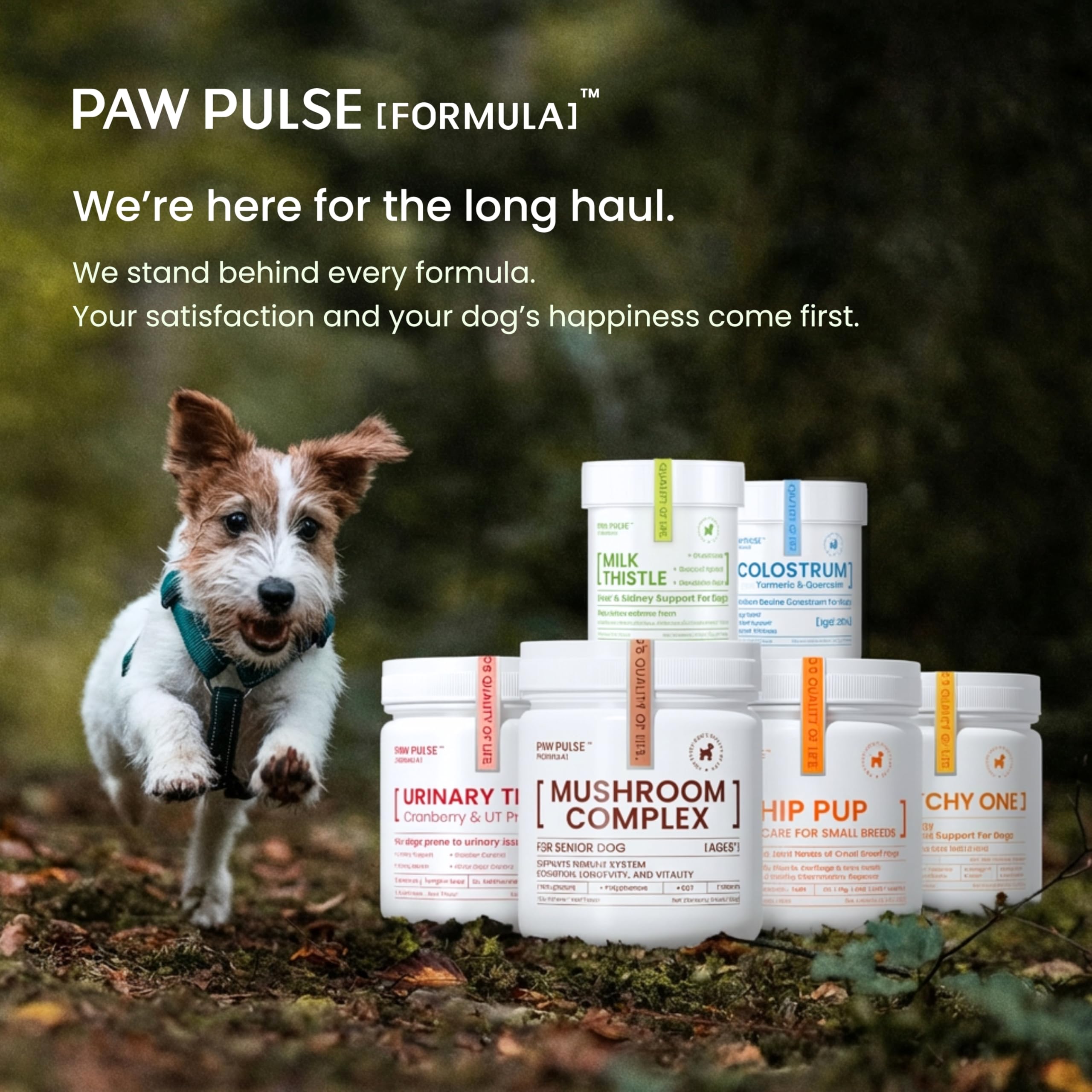 PAWPULSE FORMULA – ingrédients naturels et antioxydants, détox potentielle