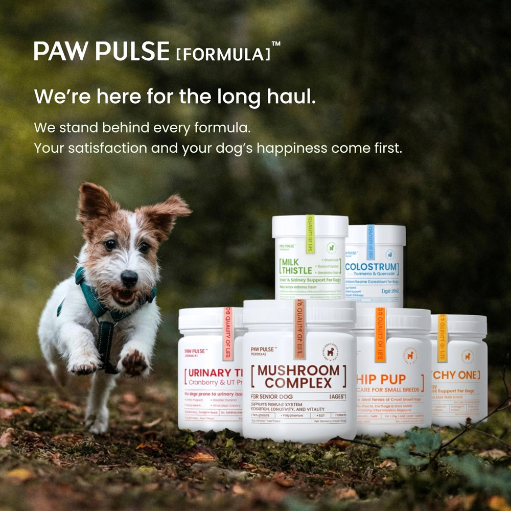 PAWPULSE FORMULA – ingrédients naturels et antioxydants, détox potentielle