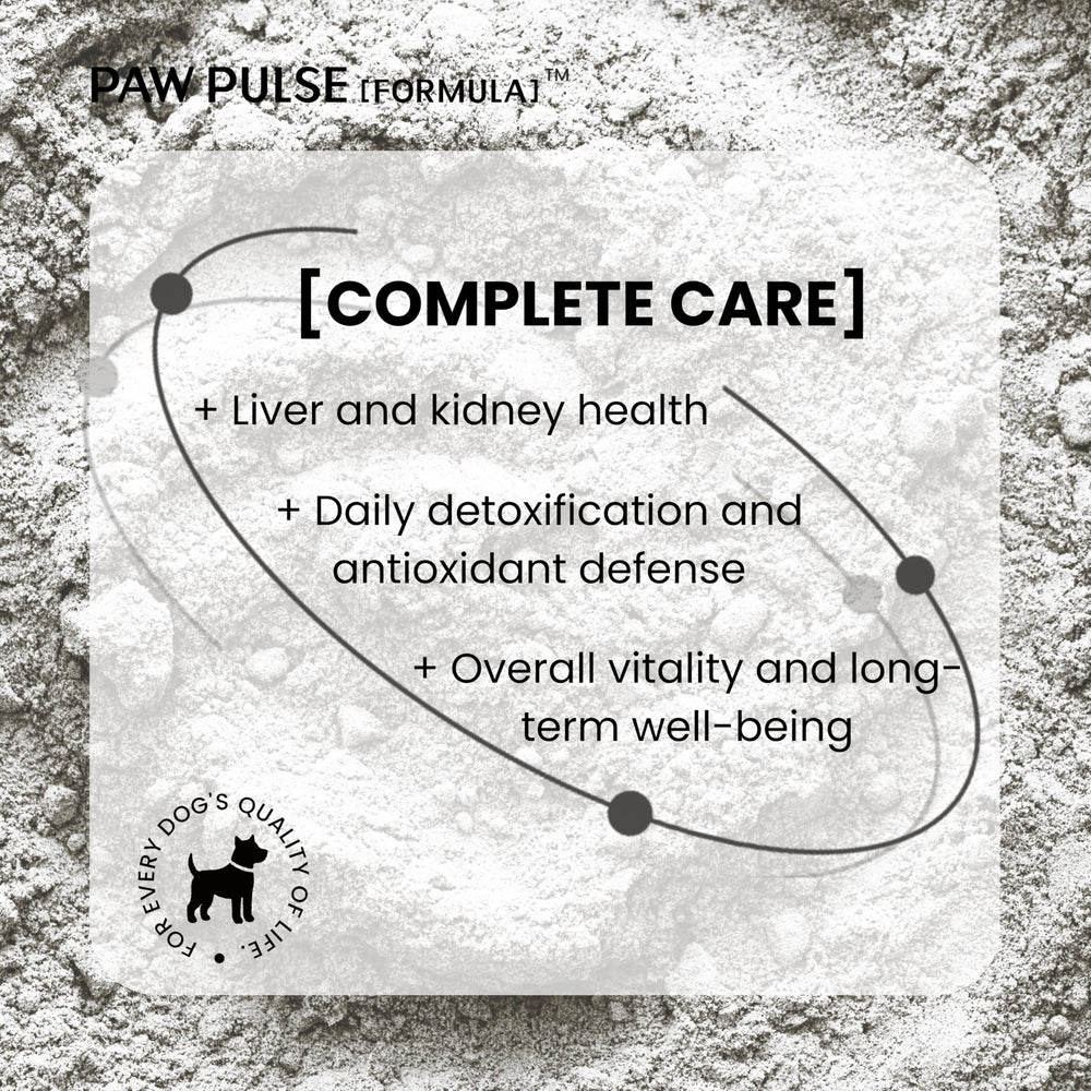 PAWPULSE FORMULA – poudre facile à digérer, absorption optimisée