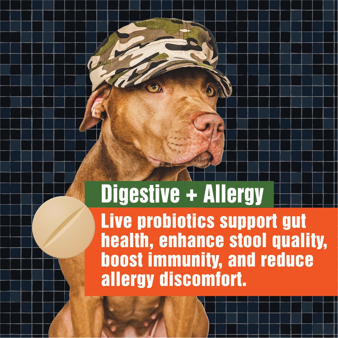 Paws A Day Probiotiques chien – allergies et oreilles, confort potentiel