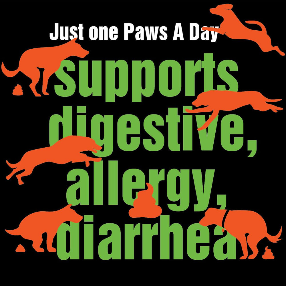 Paws A Day Probiotiques chien – étiquette des ingrédients et CFU visibles