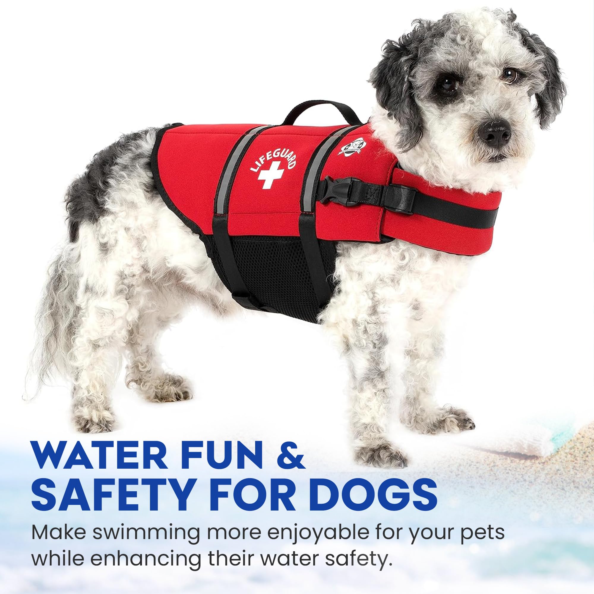 Design tendance et pratique Paws Aboard alliant style et fonctionnalité
