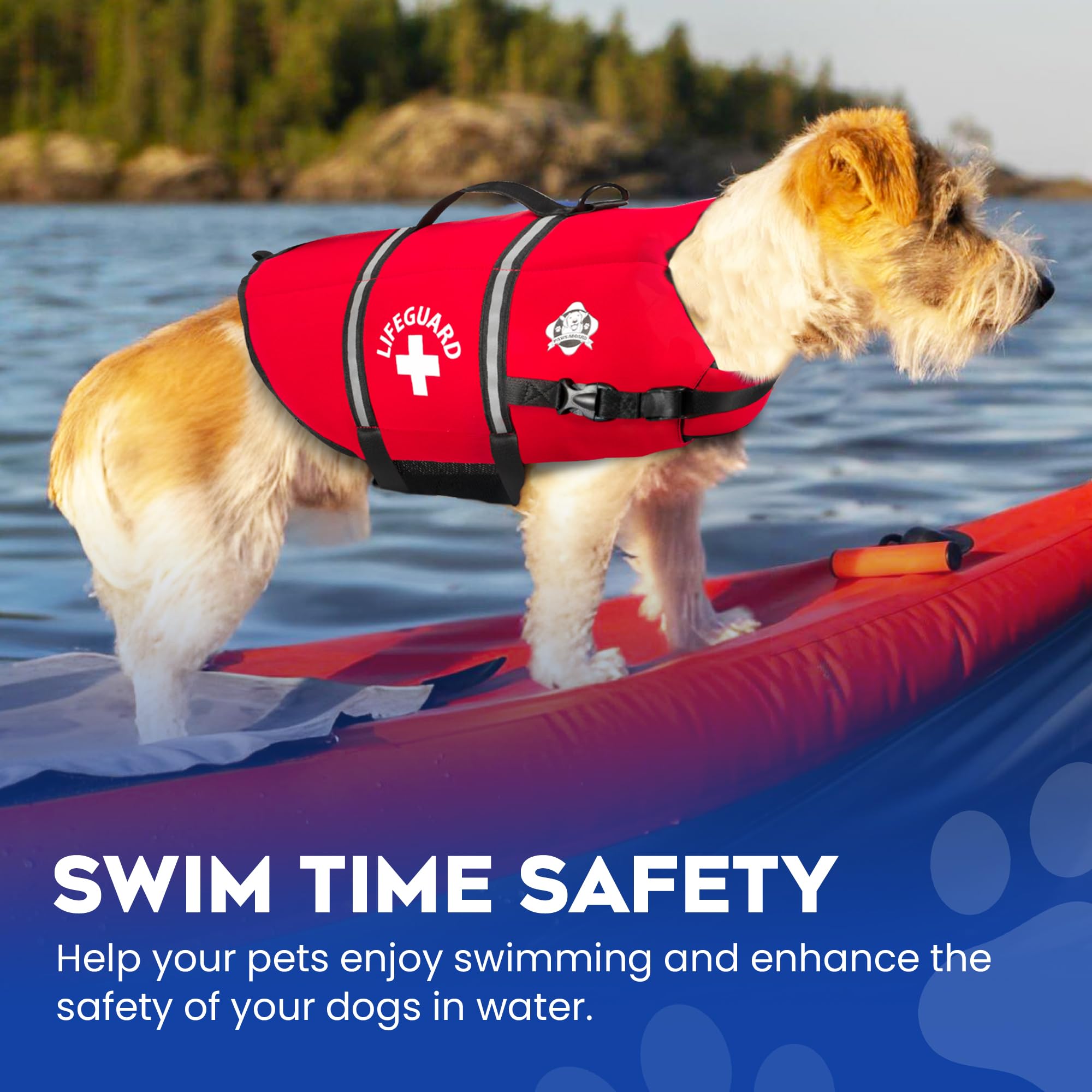 Mesh respirant sous le ventre Paws Aboard favorisant le confort et le séchage