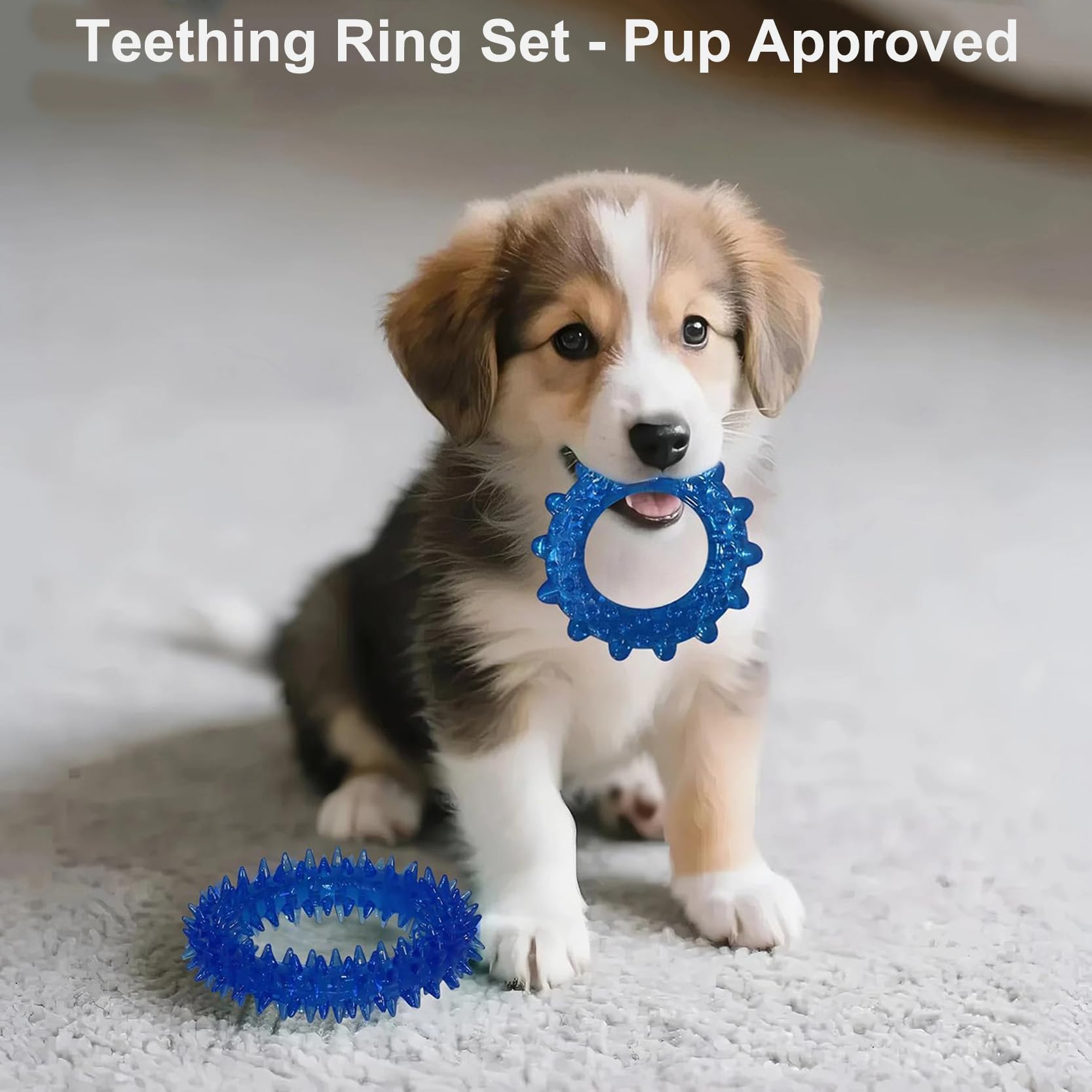Jouet pacificateur PawsAion divertissement assure pour chiot actif