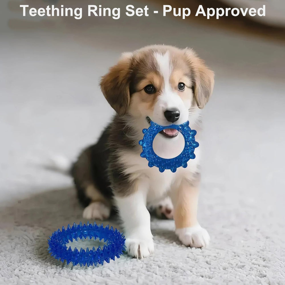 Jouet pacificateur PawsAion divertissement assure pour chiot actif