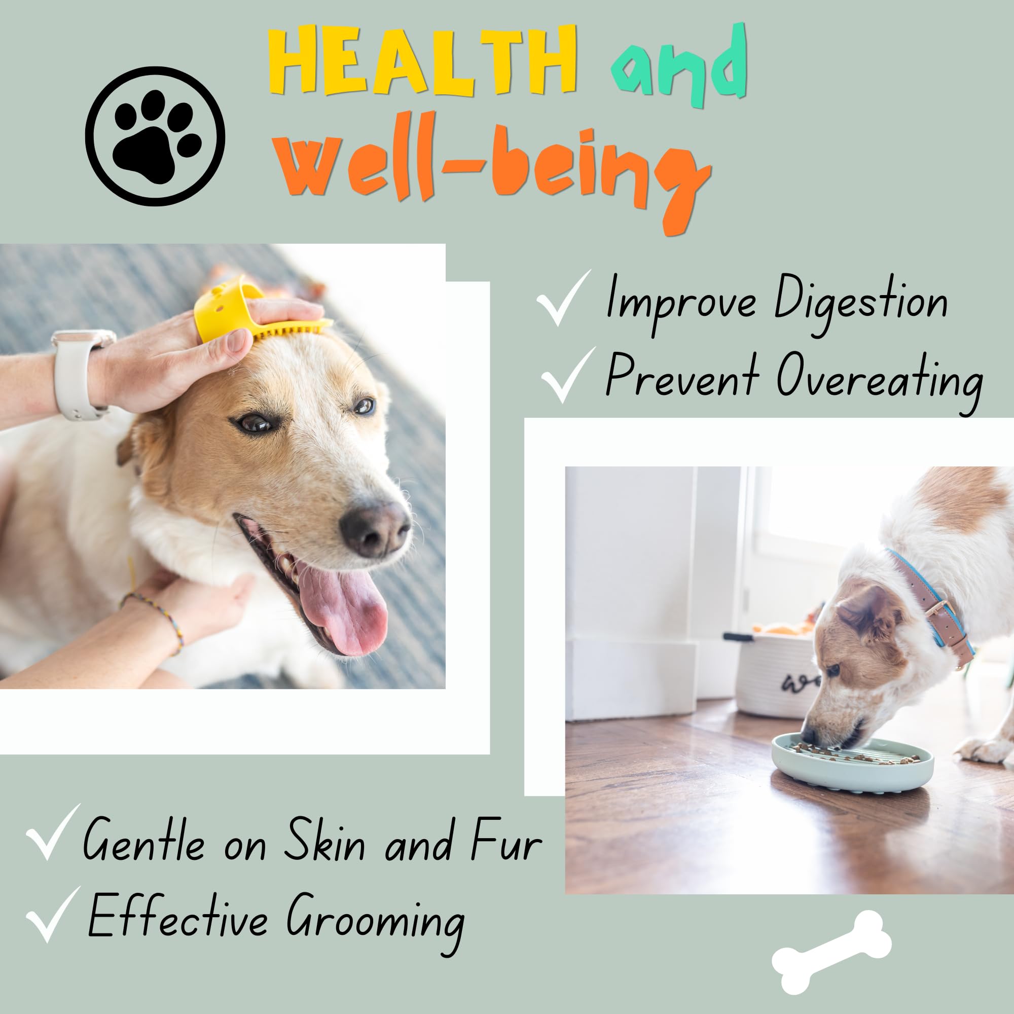 Bol alimentation lente Paws For Reaction en silicone: utilisation pratique.