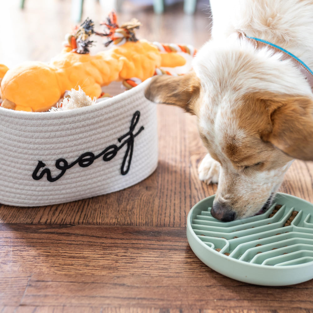 Recettes gateaux chiot Paws For Reaction: friandises maison.