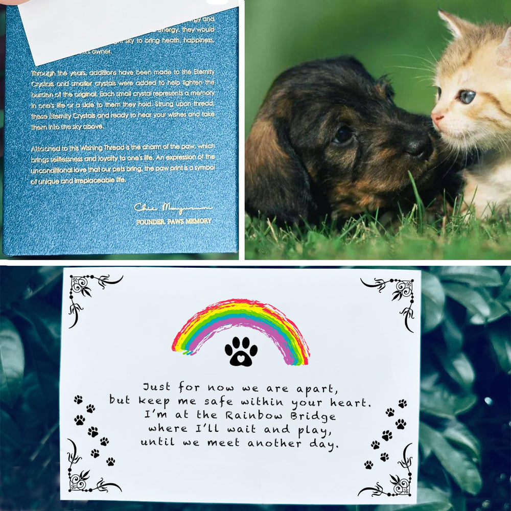 Attrape-soleil Paws Memory: à accrocher à la fenêtre ou au jardin