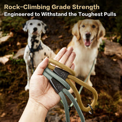 PAWS PASSION carabiner-aluminium-robuste assure fixation fiable en terrain actif.