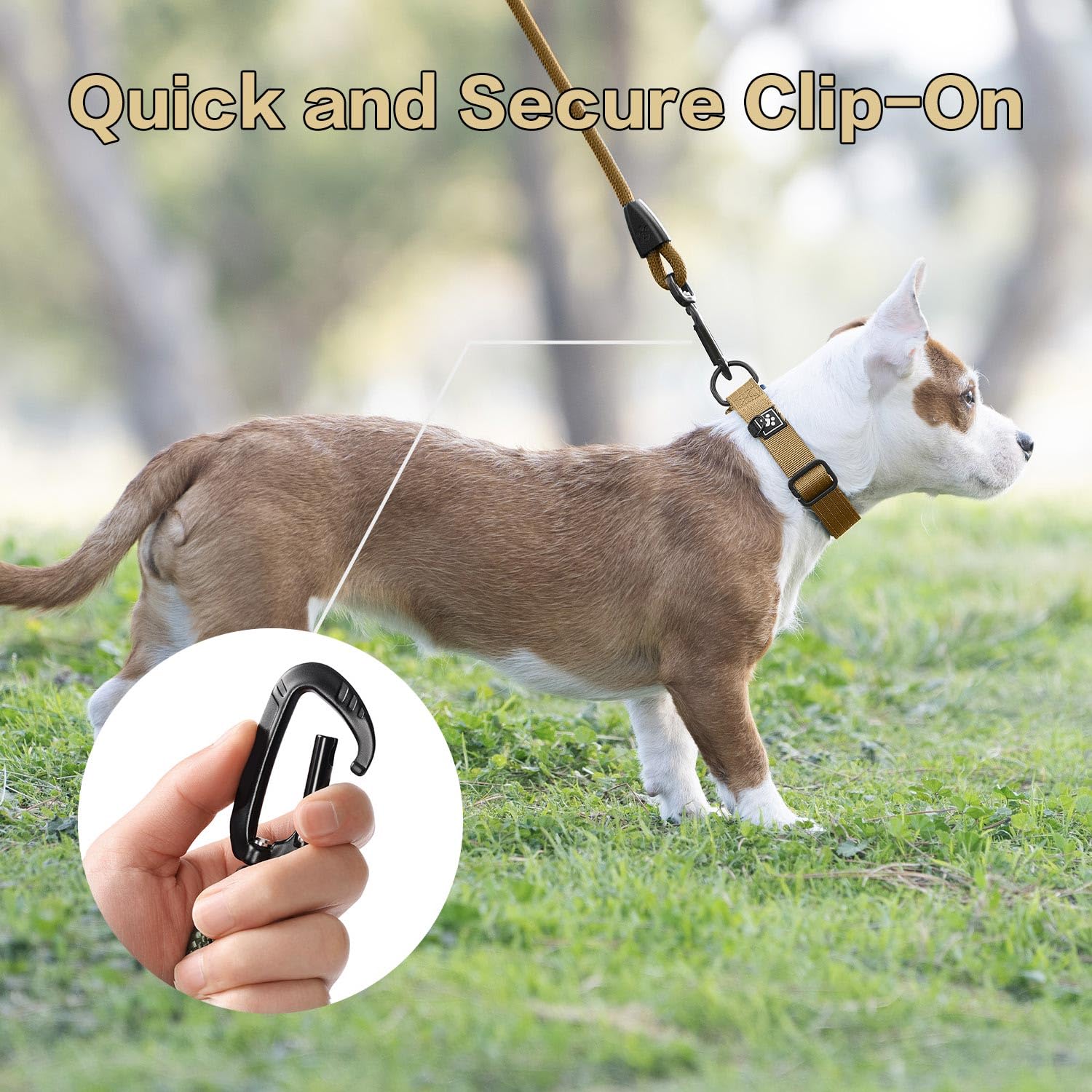 PAWS PASSION hardware-tout-metal design durable pour chiens actifs.