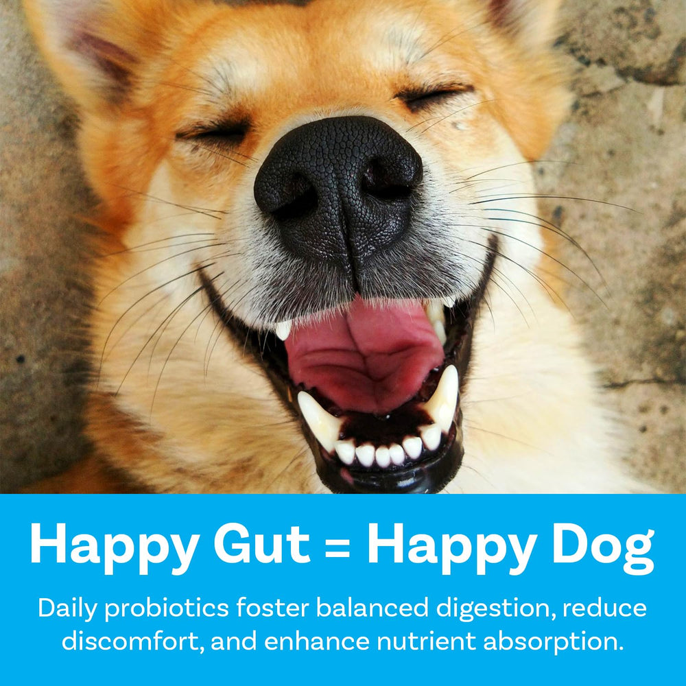 PawSafe Ingrédients Citrouille Fenugrec – Soutien digestif naturel et prebiotique.
