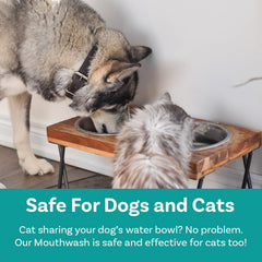 Ingrédients naturels PawSafe – formule douce pour l'hygiène dentaire