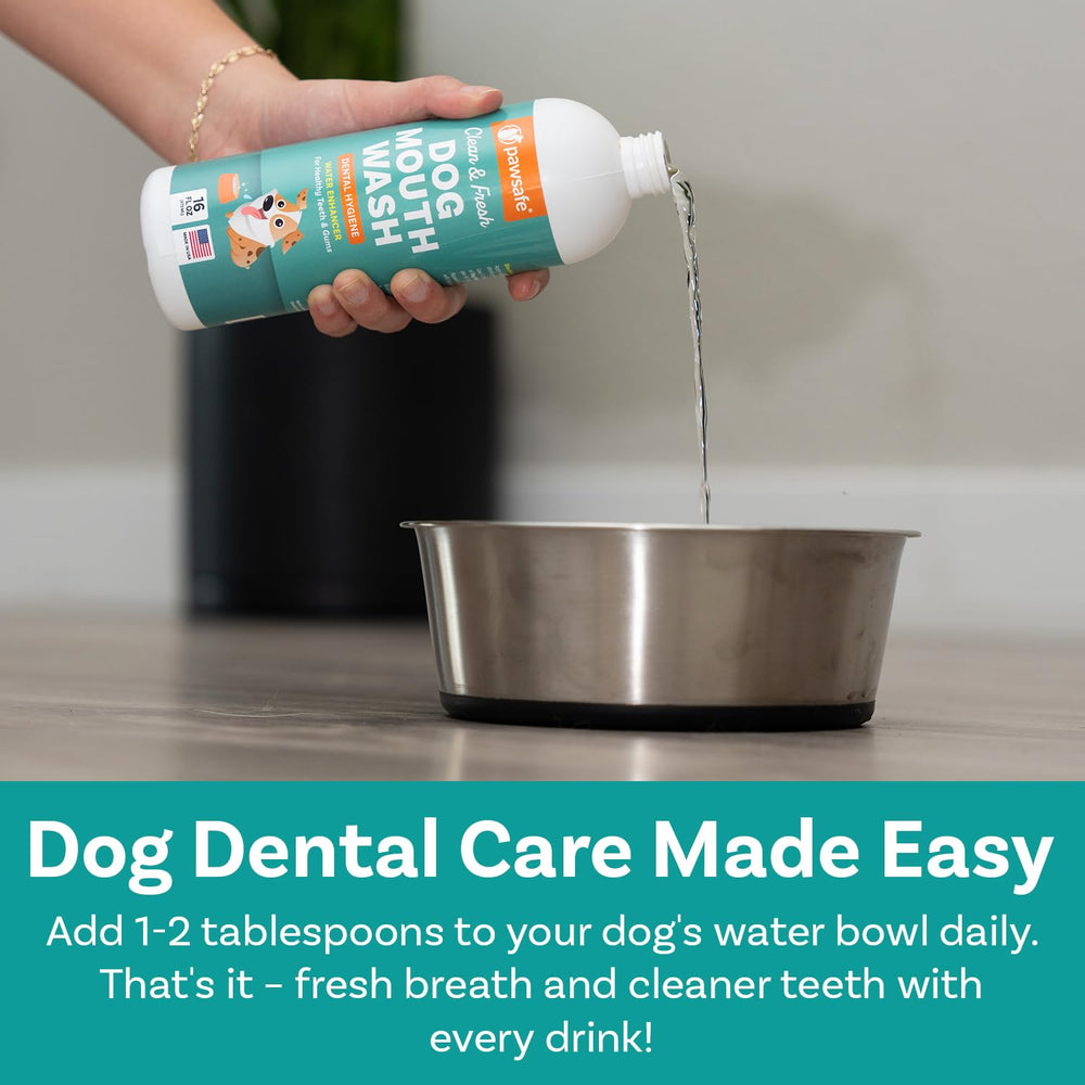 Dents propres grâce à PawSafe – usage quotidien sans brosse