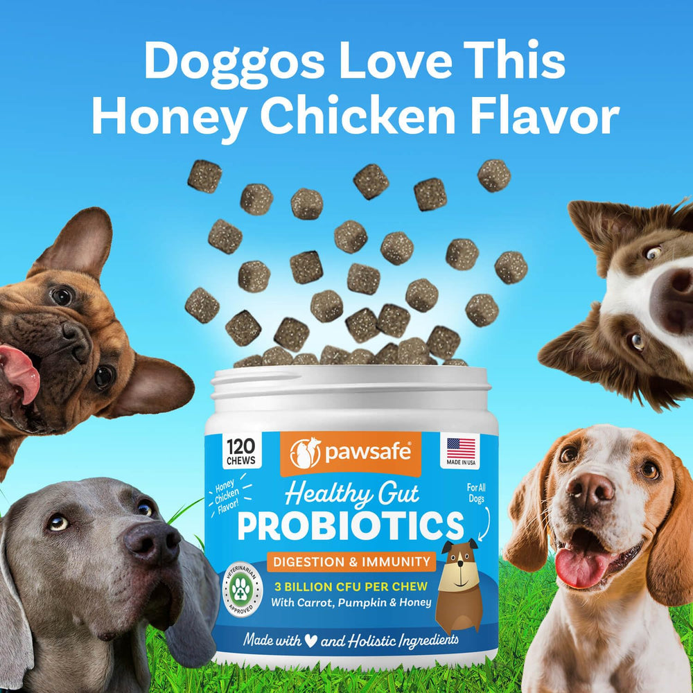 PawSafe Saveur Poulet Miel – Friables délicieux pour chiens difficiles.