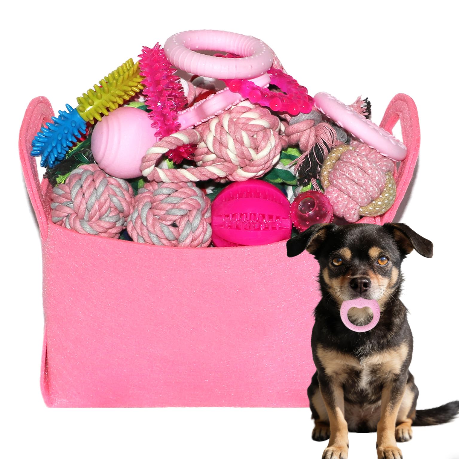 PawsAion ensemble de jouets chiots rose, variété pour dentition et jeu stimulant.