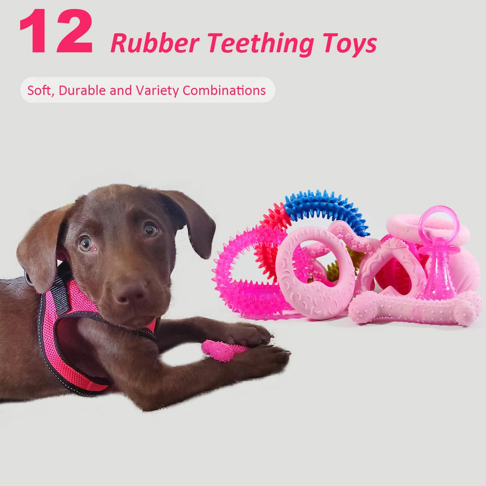 PawsAion os caoutchouc doux chiots: massage des gencives et dentition sûre.