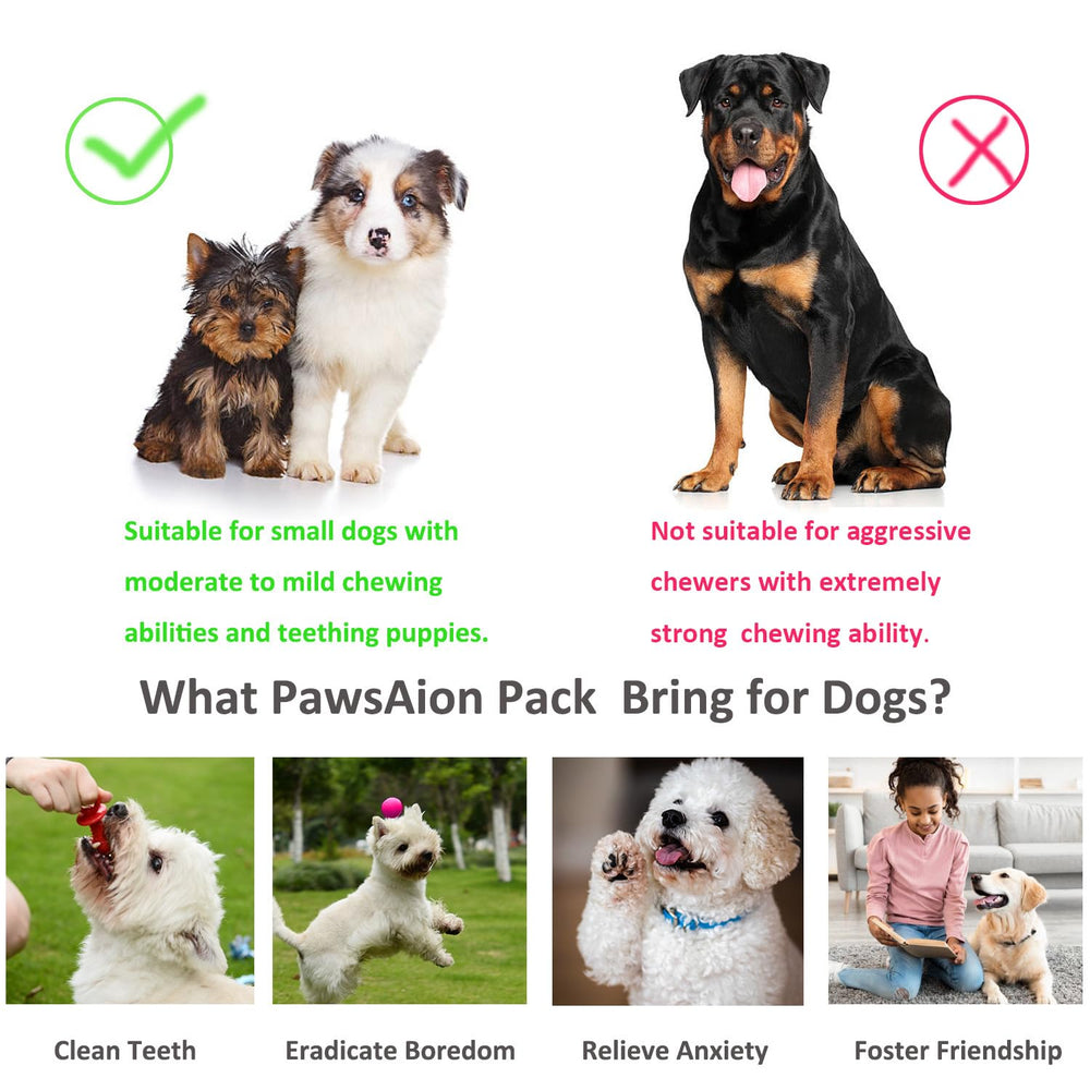 PawsAion panier rangement jouets chien: organisation pratique à domicile.
