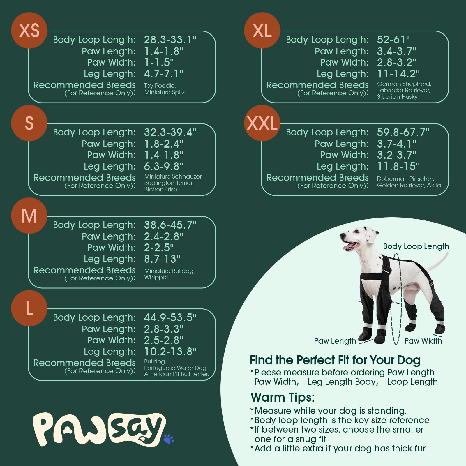 PAWsay système à quatre bottes assure un maintien sécurisé pendant l'activité.