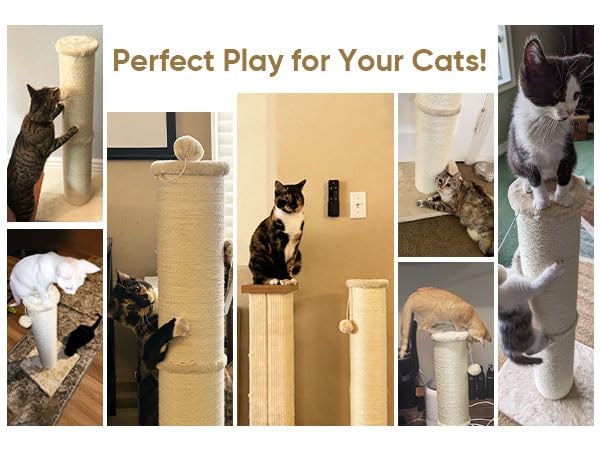 PAWSCRAT service après-vente réactif et garantie de 30 jours