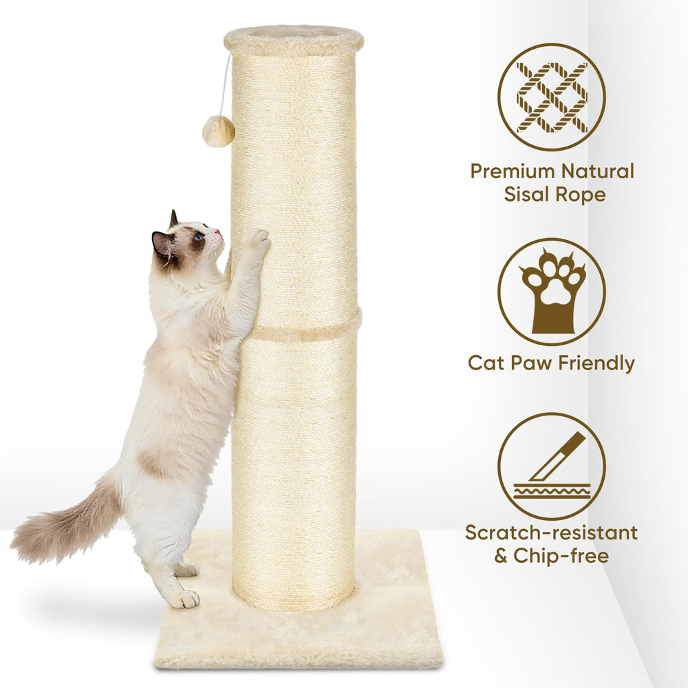 PAWSCRAT utilisation intérieure favorise exercice et amusement