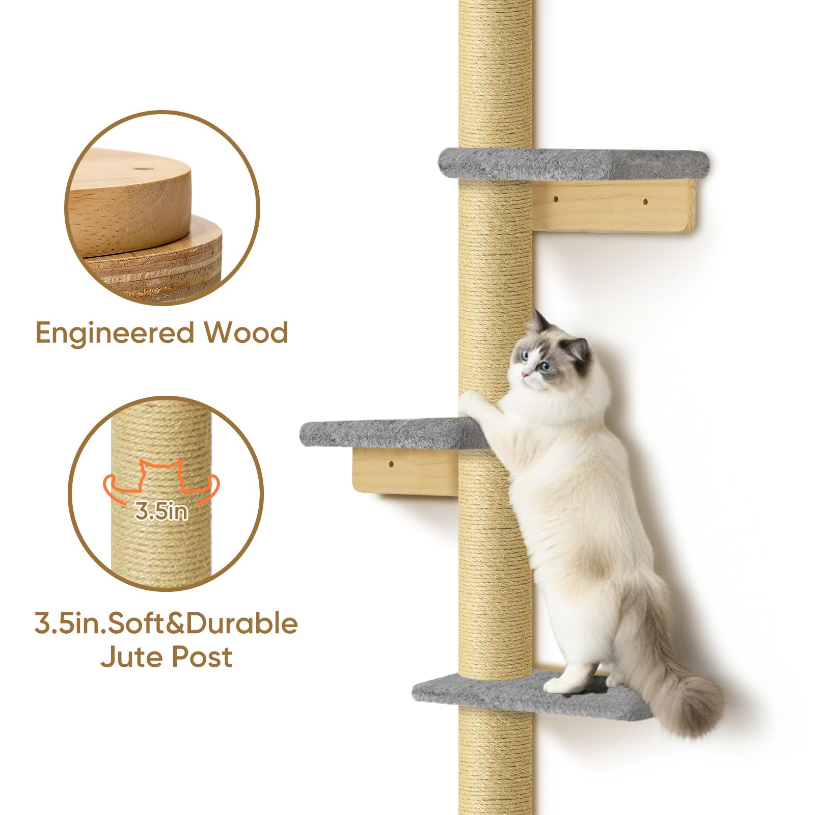 PAWSCRAT arbre chat mural 80 pouces – espace vertical pour grimper et observer.