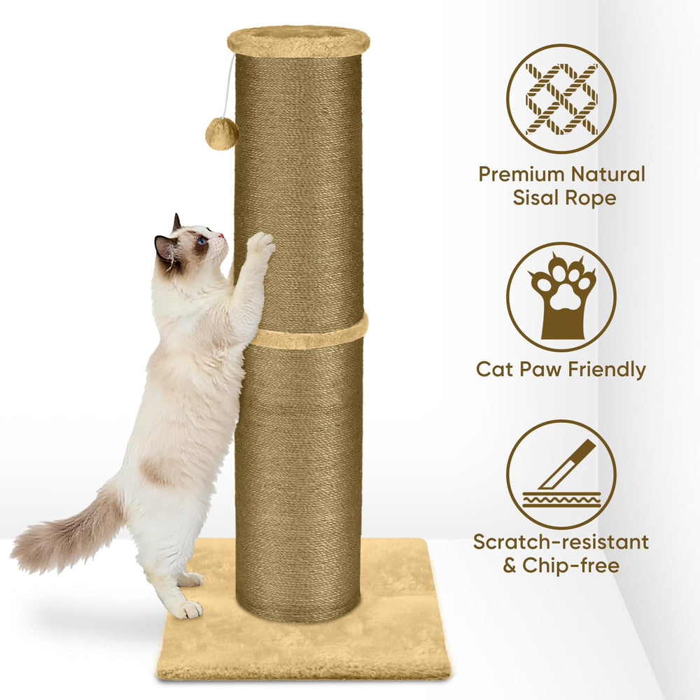 PAWSCRAT Structure robuste offre une base stable